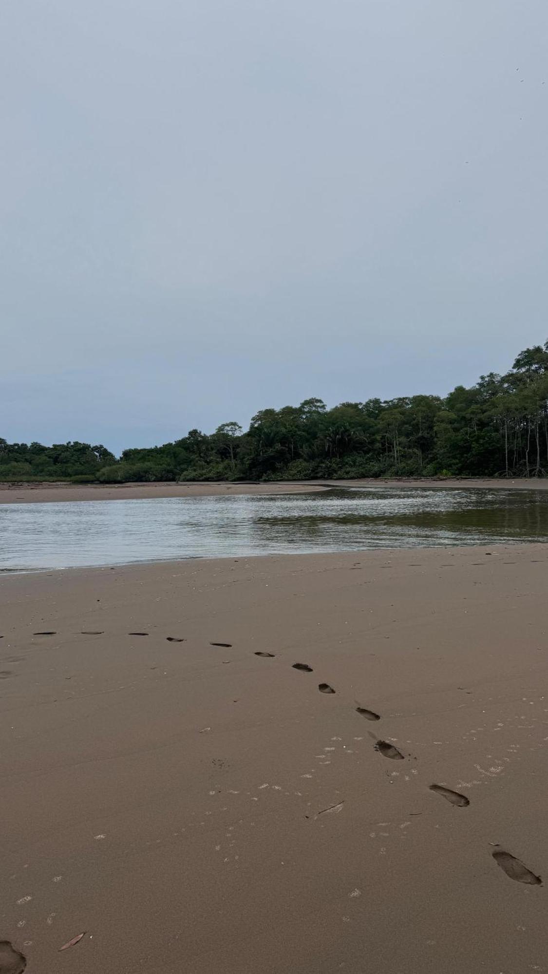 مبيت وإفطار باريتا Cabinas Playa Bandera المظهر الخارجي الصورة